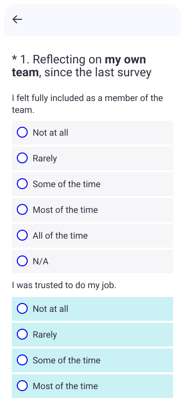 Team Excel Survey