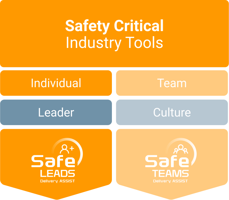Safety Critical Industry Tools - Individual Leader